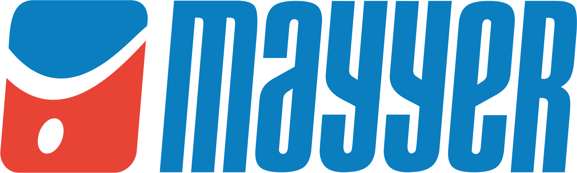 MAYYER Grzegorz Majcher
